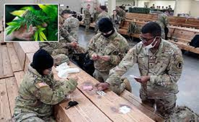 oes cbd show up on drug tests army