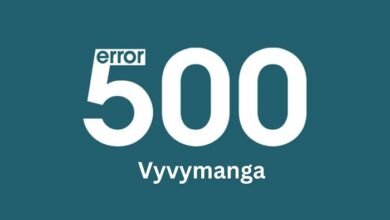 Vyvymanga 500 Error